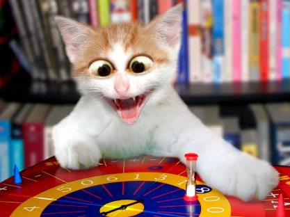 Scared-cat-playing-roulette-wallpaper_4612